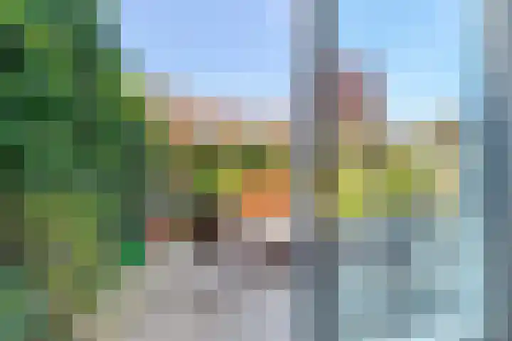 Rijnlaan 8 Culemborg thumbnail 20