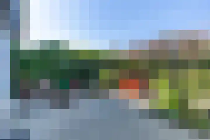 Rijnlaan 8 Culemborg thumbnail 21