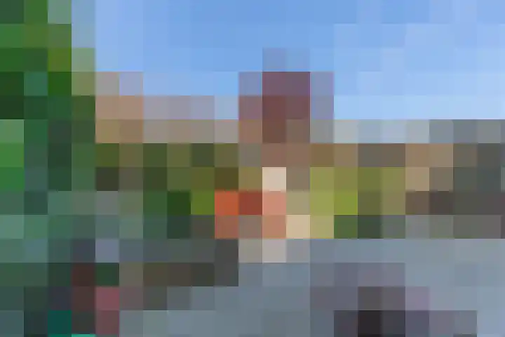 Rijnlaan 8 Culemborg thumbnail 22