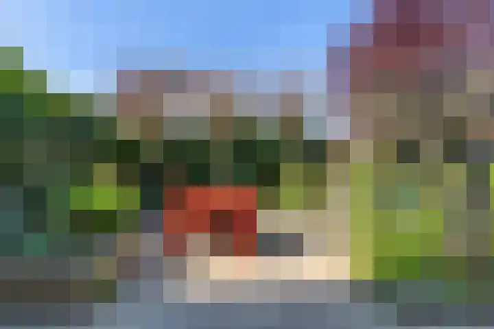 Rijnlaan 8 Culemborg thumbnail 23