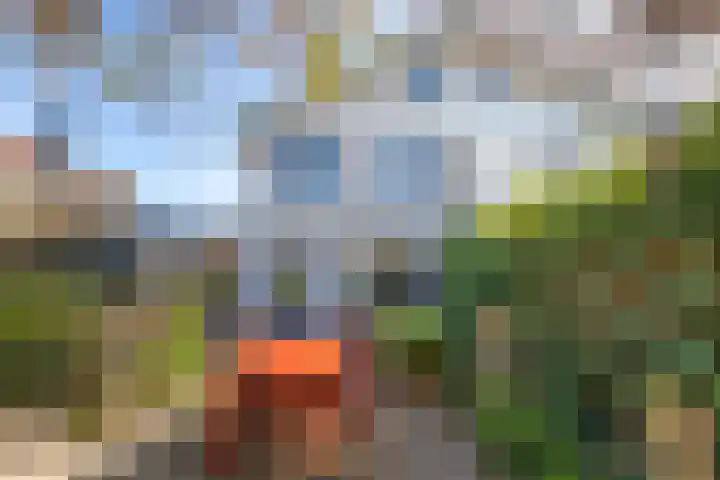 Rijnlaan 8 Culemborg thumbnail 24