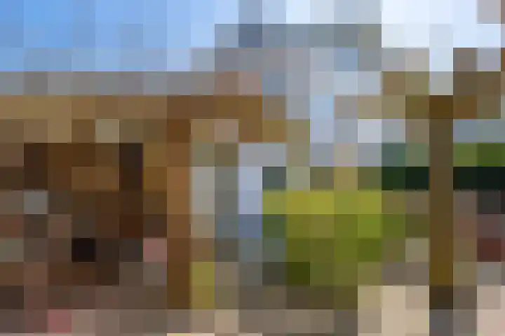 Rijnlaan 8 Culemborg thumbnail 25