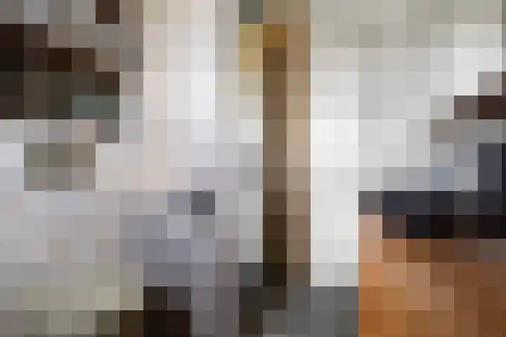 Rijnlaan 8 Culemborg thumbnail 31
