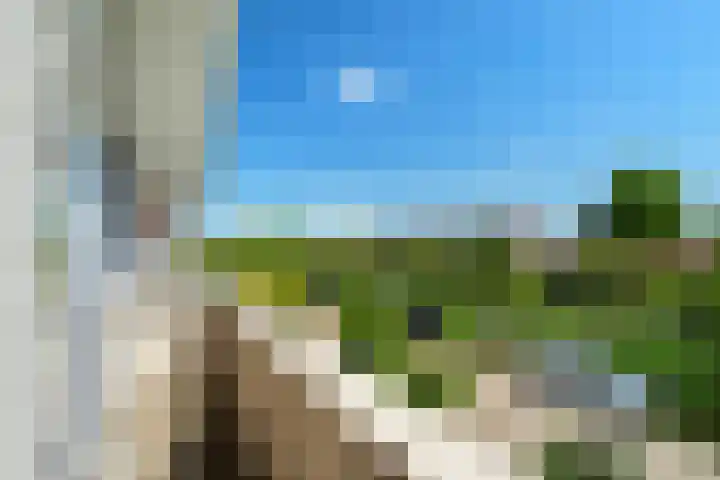 Rijnlaan 8 Culemborg thumbnail 35