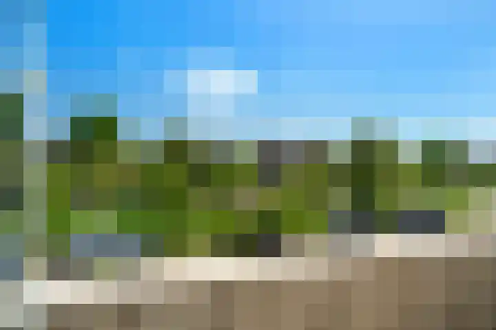Rijnlaan 8 Culemborg thumbnail 36