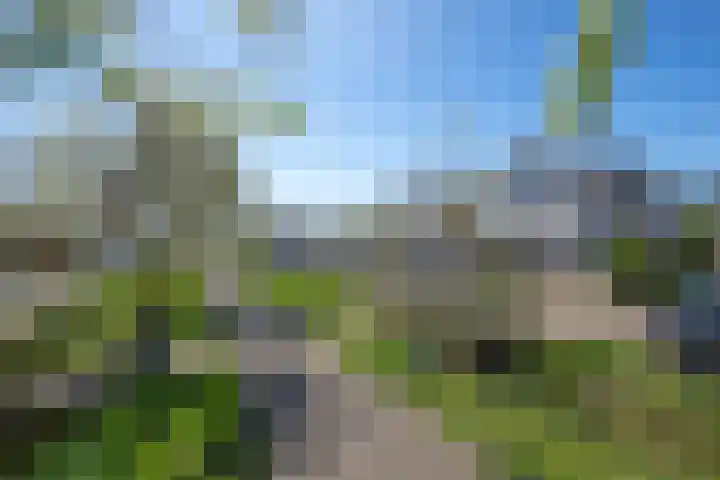 Rijnlaan 8 Culemborg thumbnail 49