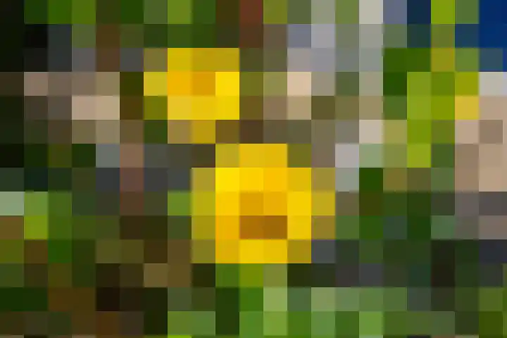 Rijnlaan 8 Culemborg thumbnail 52