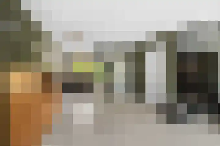 Rijnlaan 8 Culemborg thumbnail 6