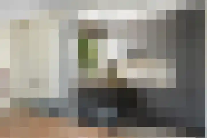 Rijnlaan 8 Culemborg thumbnail 7