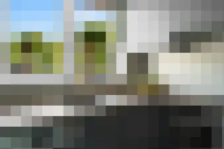 Rijnlaan 8 Culemborg thumbnail 9