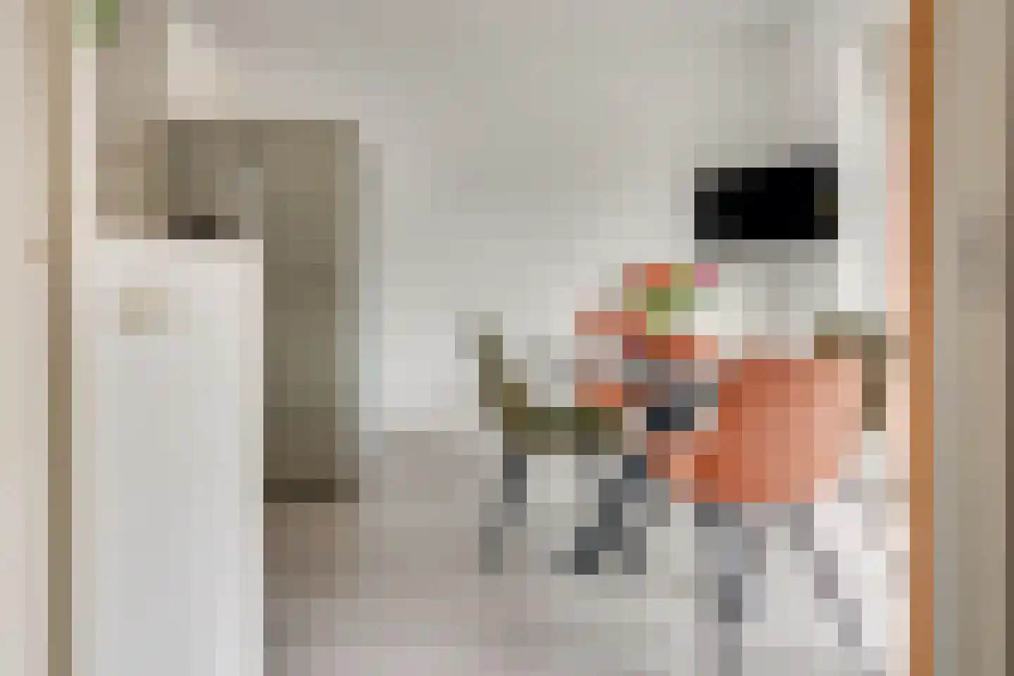 Rijnlaan 81 A Utrecht thumbnail 15