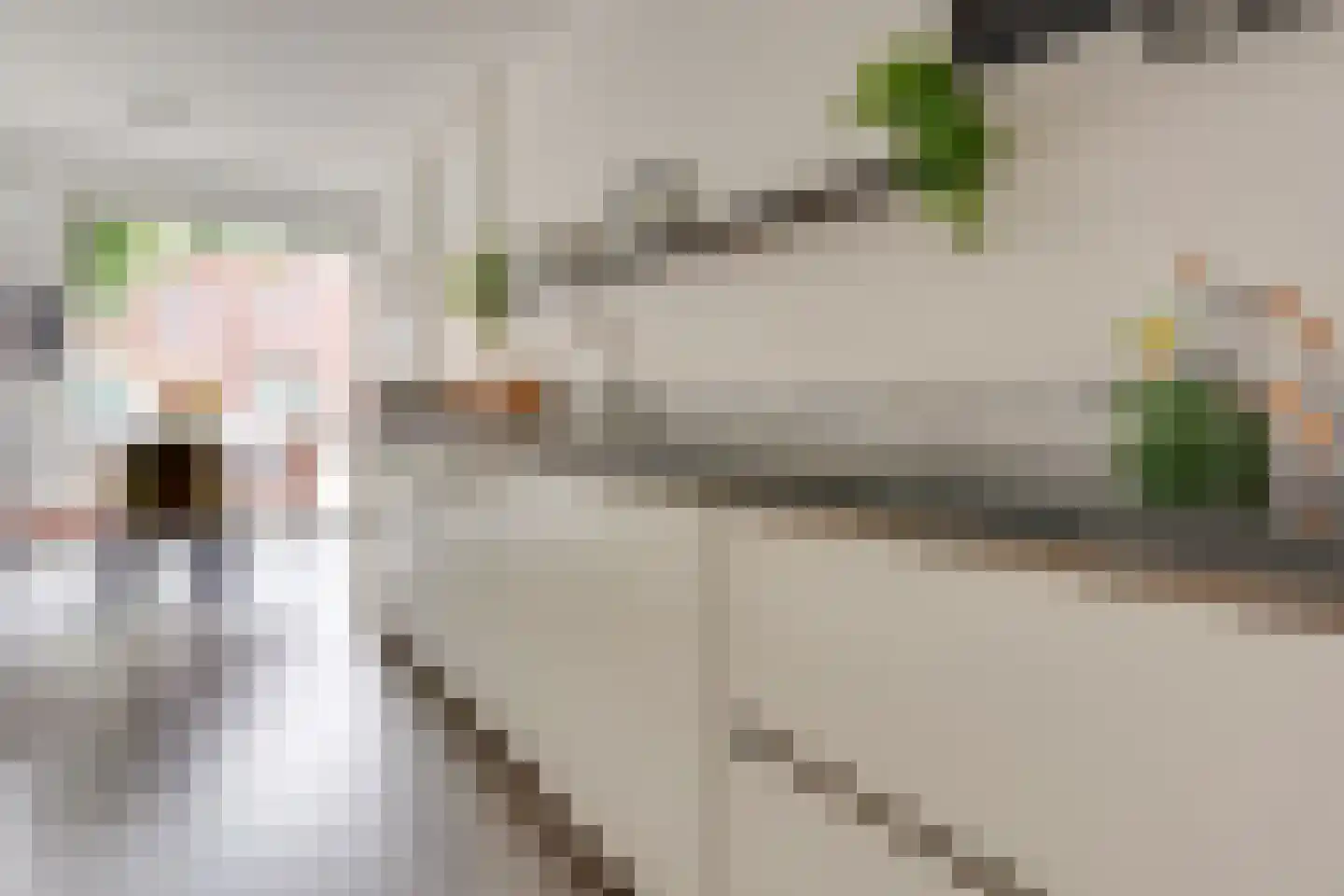 Rijnlaan 81 A Utrecht thumbnail 20