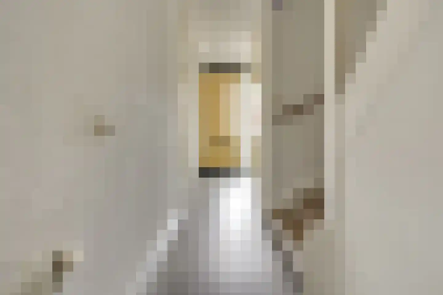 Rijnlaan 81 A Utrecht thumbnail 33