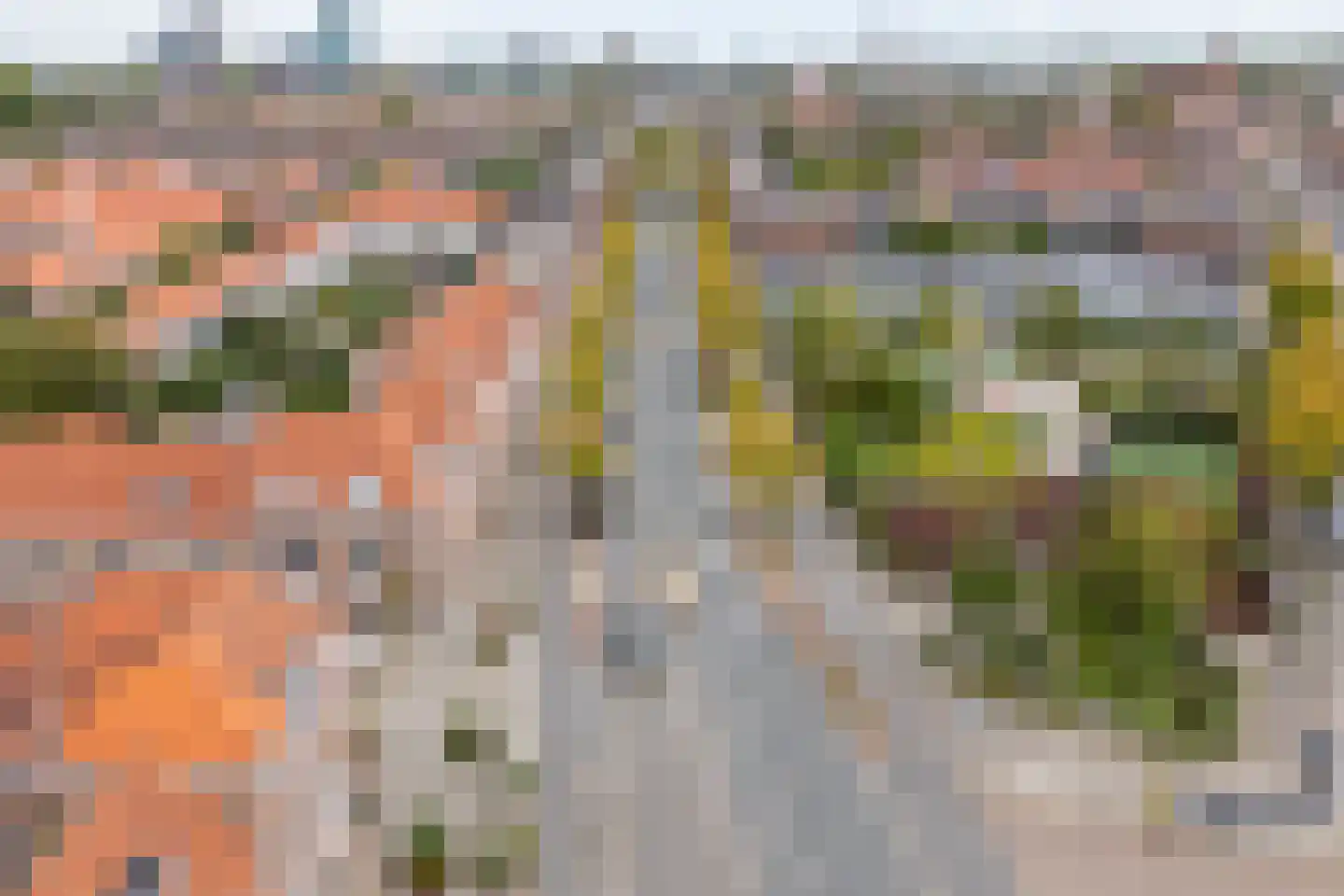 Rijnlaan 81 A Utrecht thumbnail 40