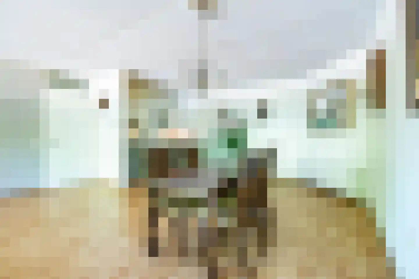 Rijnlaan 85 Nieuwegein thumbnail 14