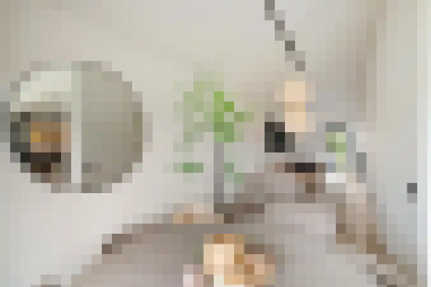 Rijnlaan 9 Kropswolde thumbnail 18