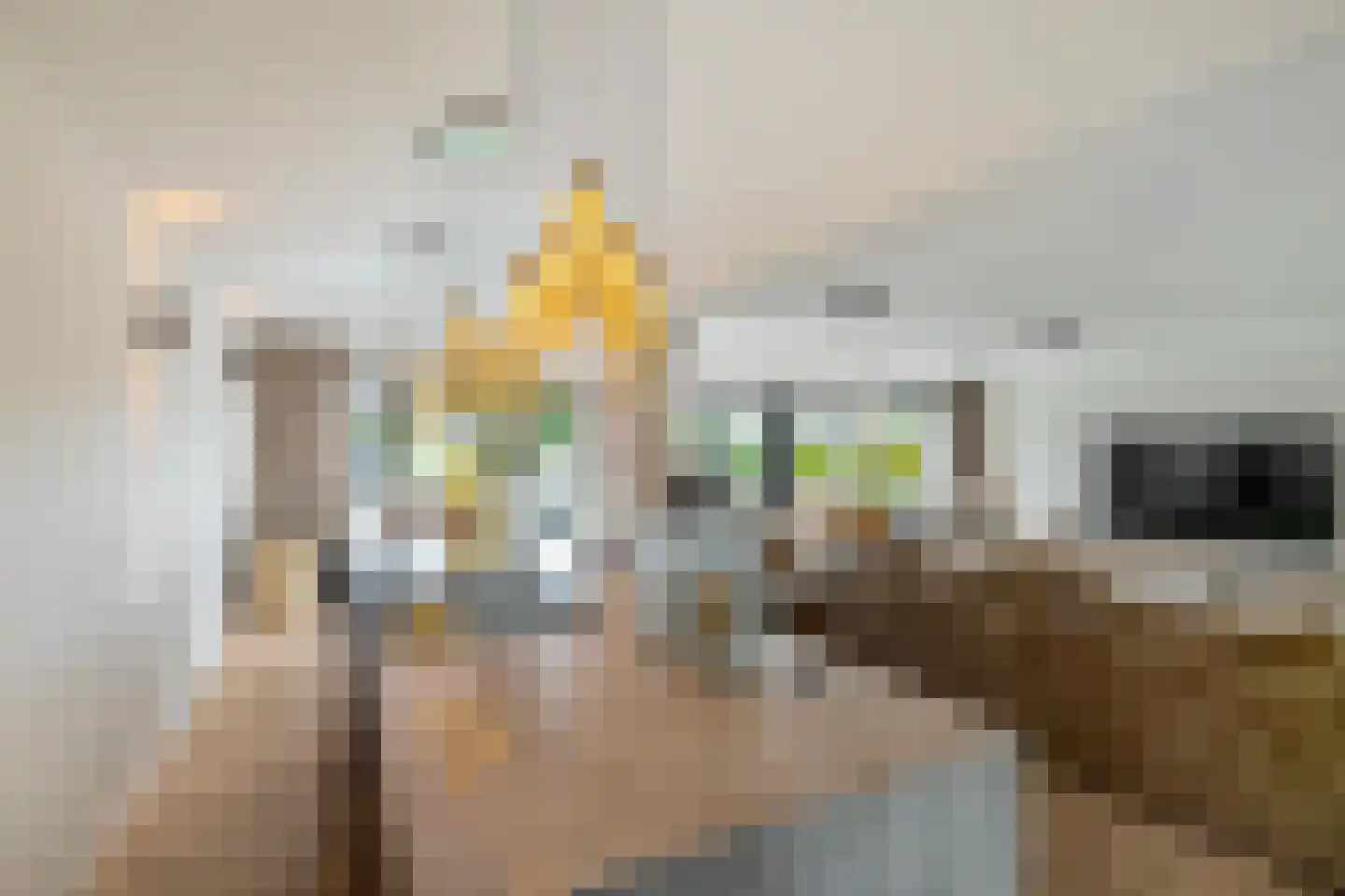 Rijnlaan 9 Kropswolde foto 2