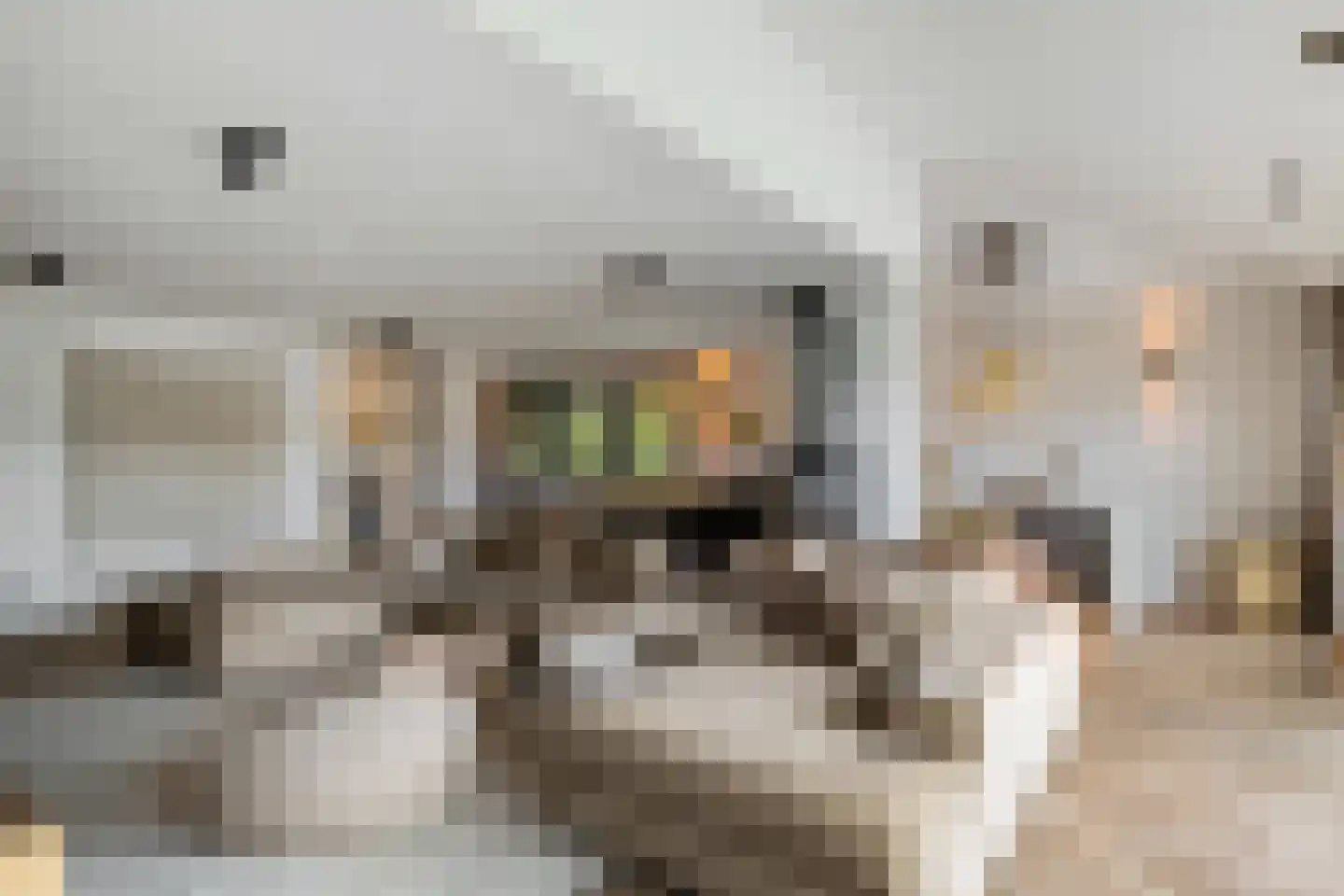 Rijnlaan 9 Kropswolde thumbnail 20