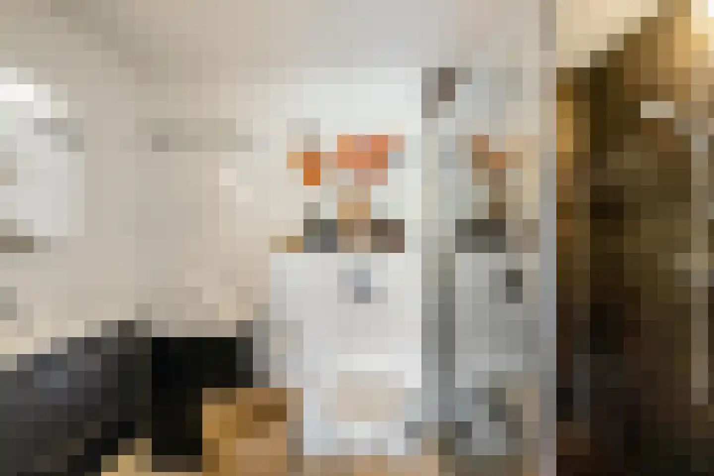 Rijnlaan 9 Kropswolde thumbnail 30