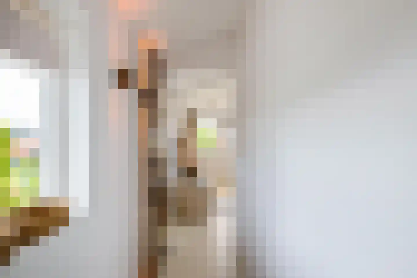 Rijnlaan 9 Kropswolde thumbnail 33
