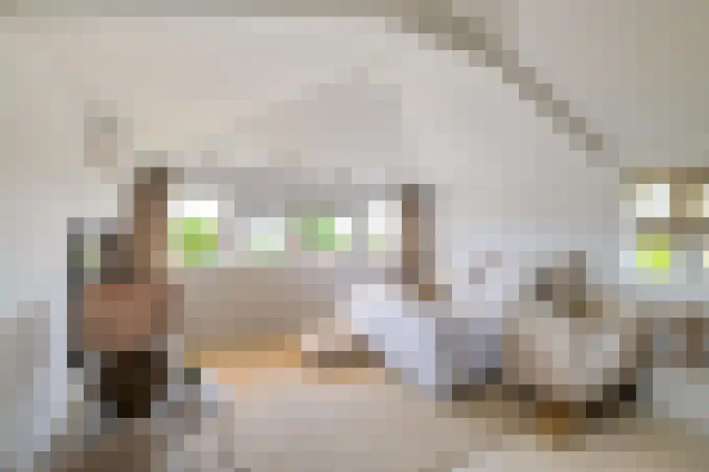Rijnlaan 9 Kropswolde thumbnail 34