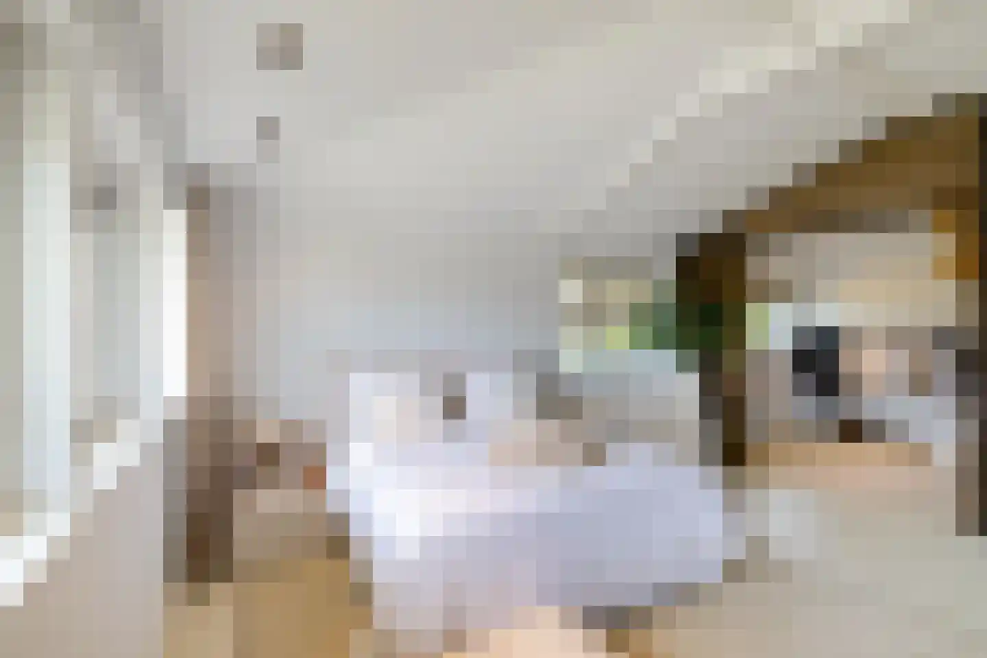 Rijnlaan 9 Kropswolde thumbnail 36