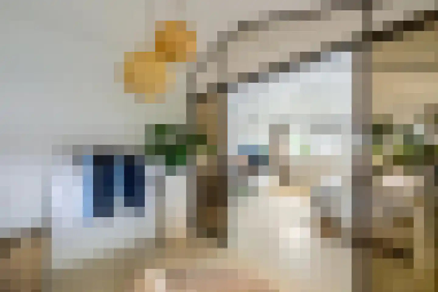 Rijnlaan 9 Kropswolde thumbnail 39
