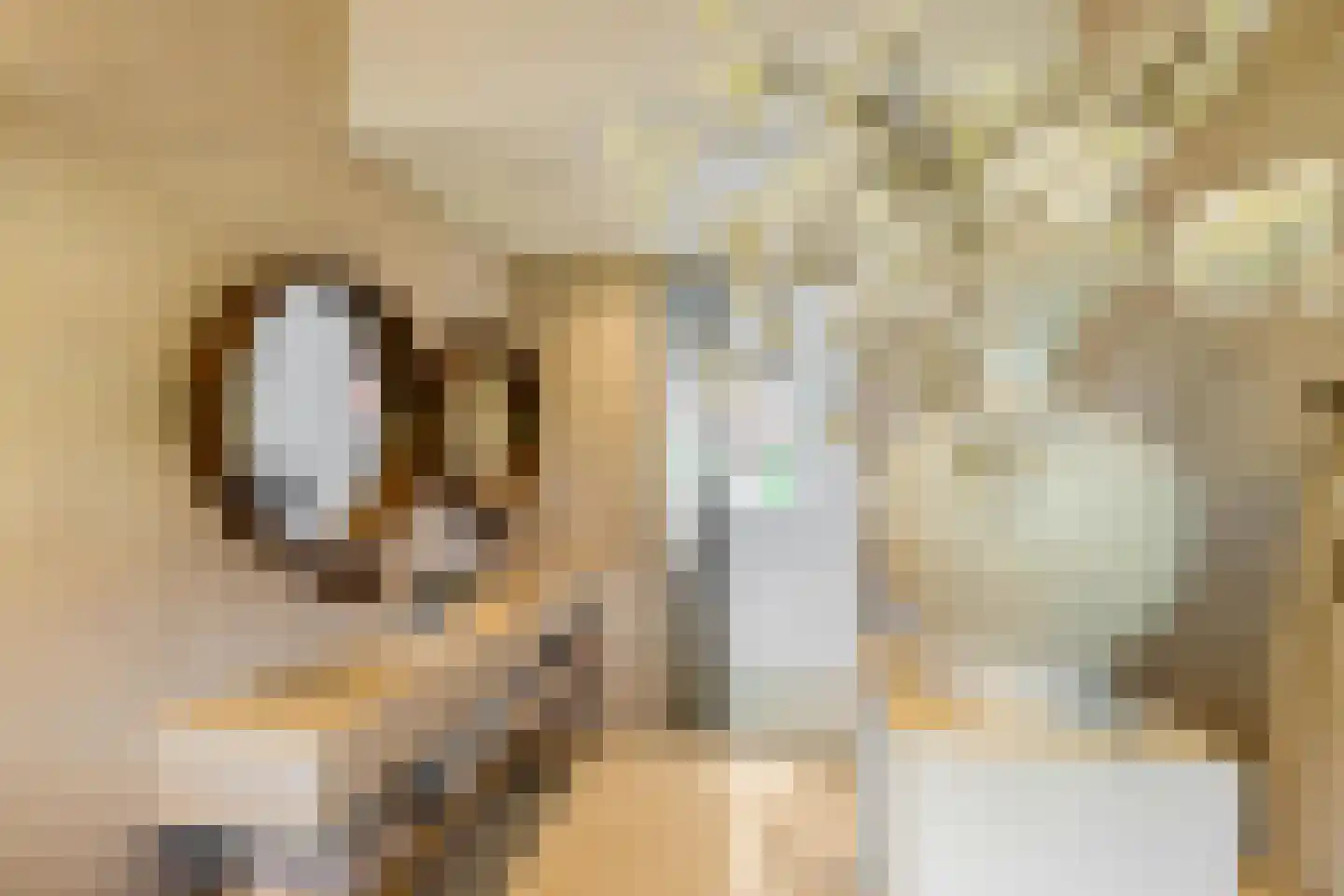 Rijnlaan 9 Kropswolde thumbnail 44