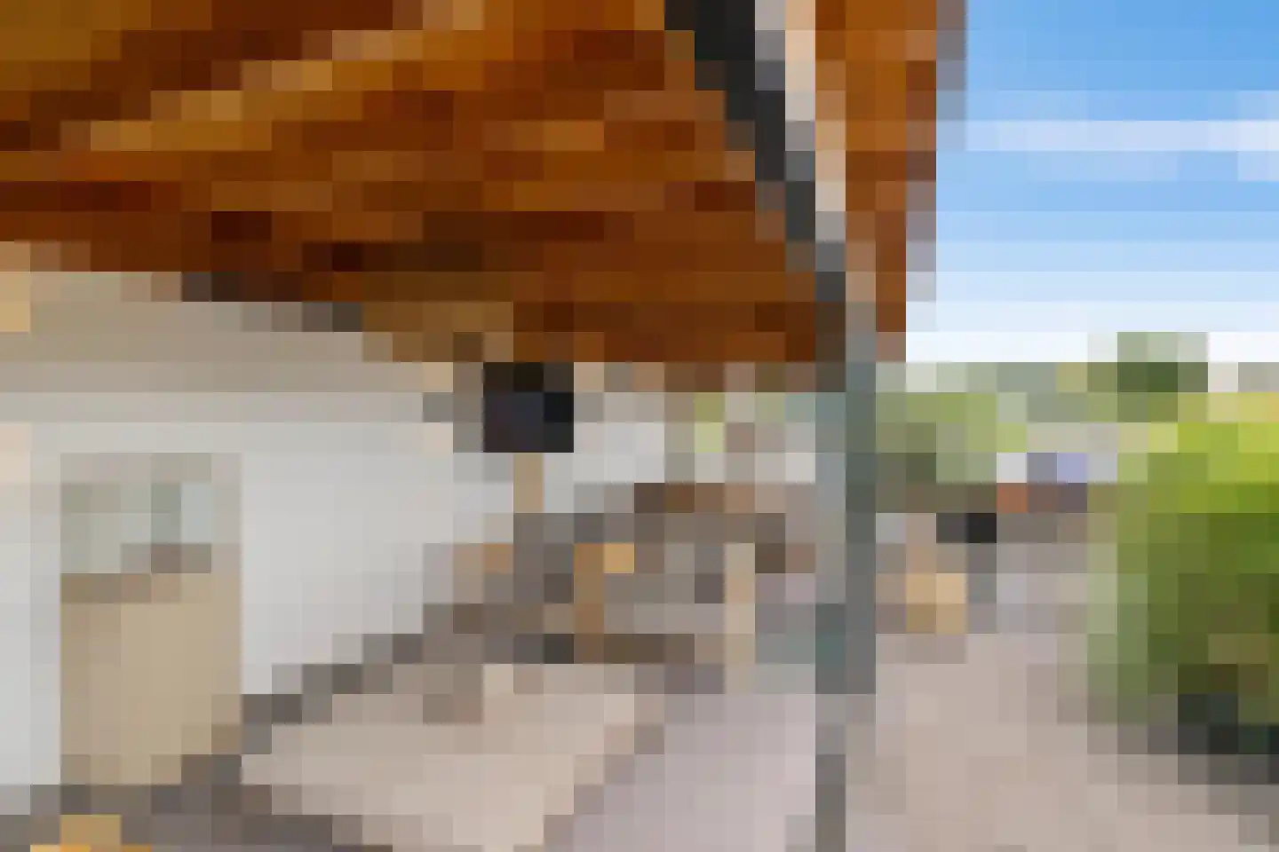 Rijnlaan 9 Kropswolde thumbnail 53