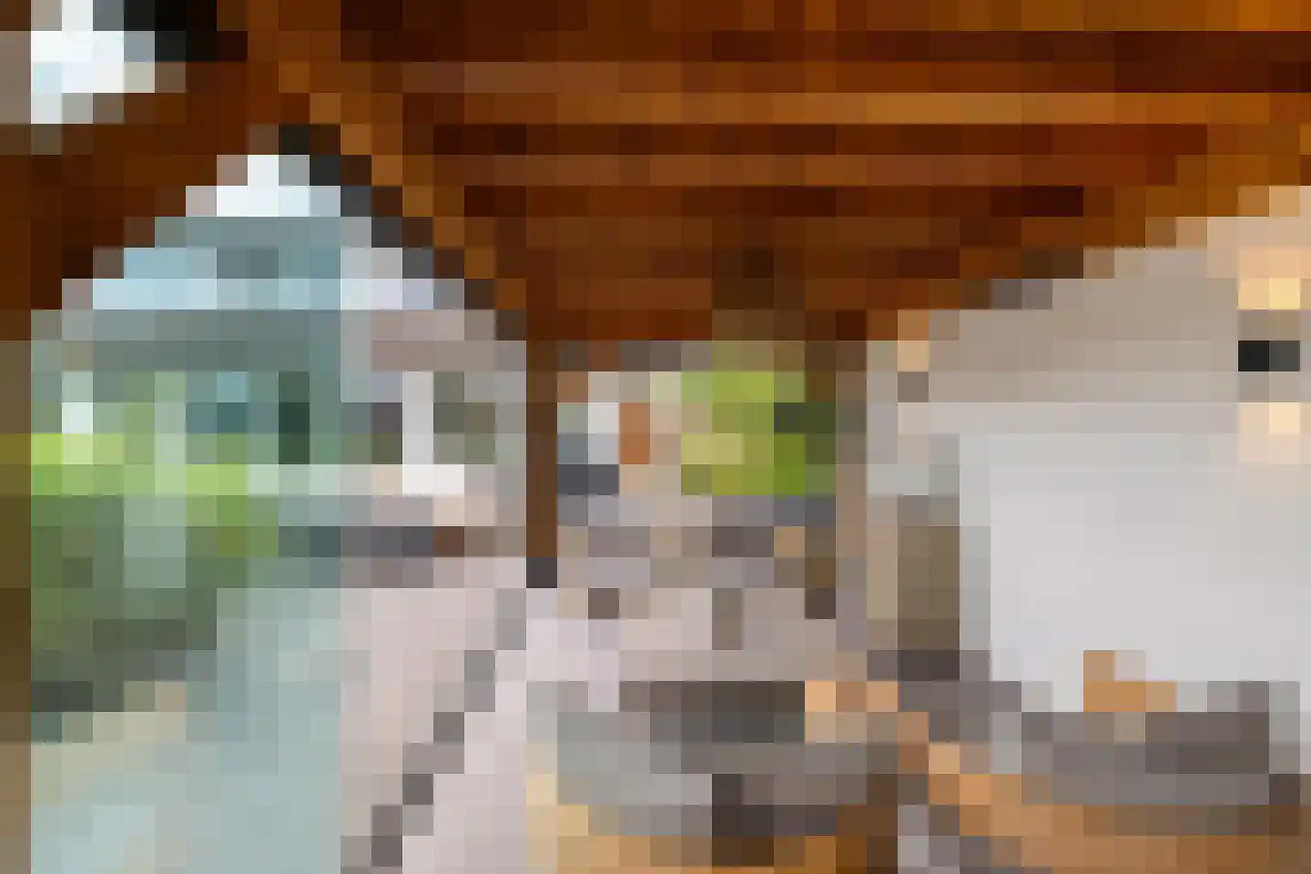 Rijnlaan 9 Kropswolde thumbnail 55