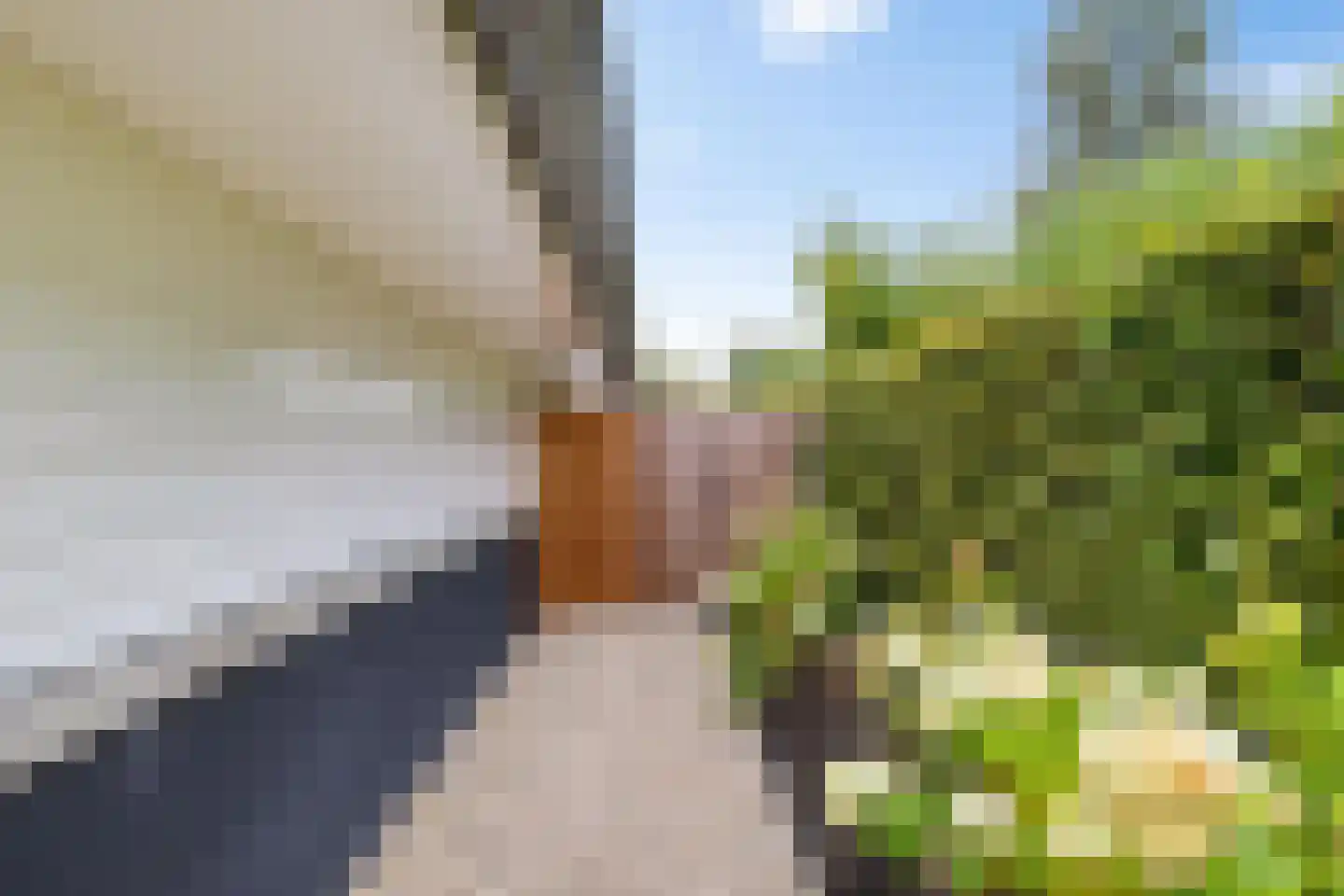 Rijnlaan 9 Kropswolde thumbnail 67