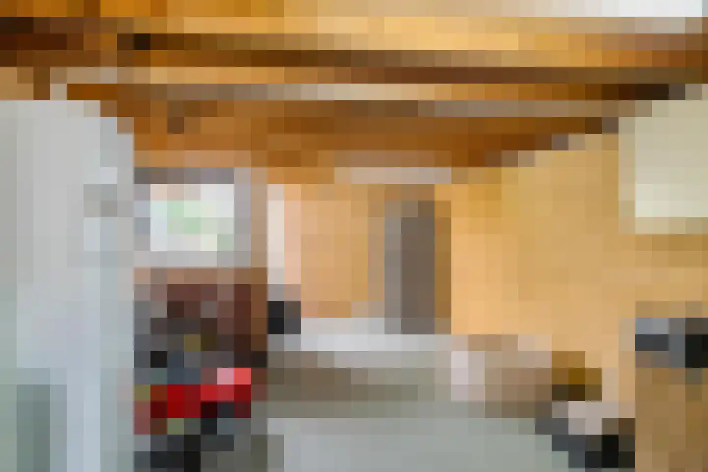 Rijnlaan 9 Kropswolde thumbnail 68
