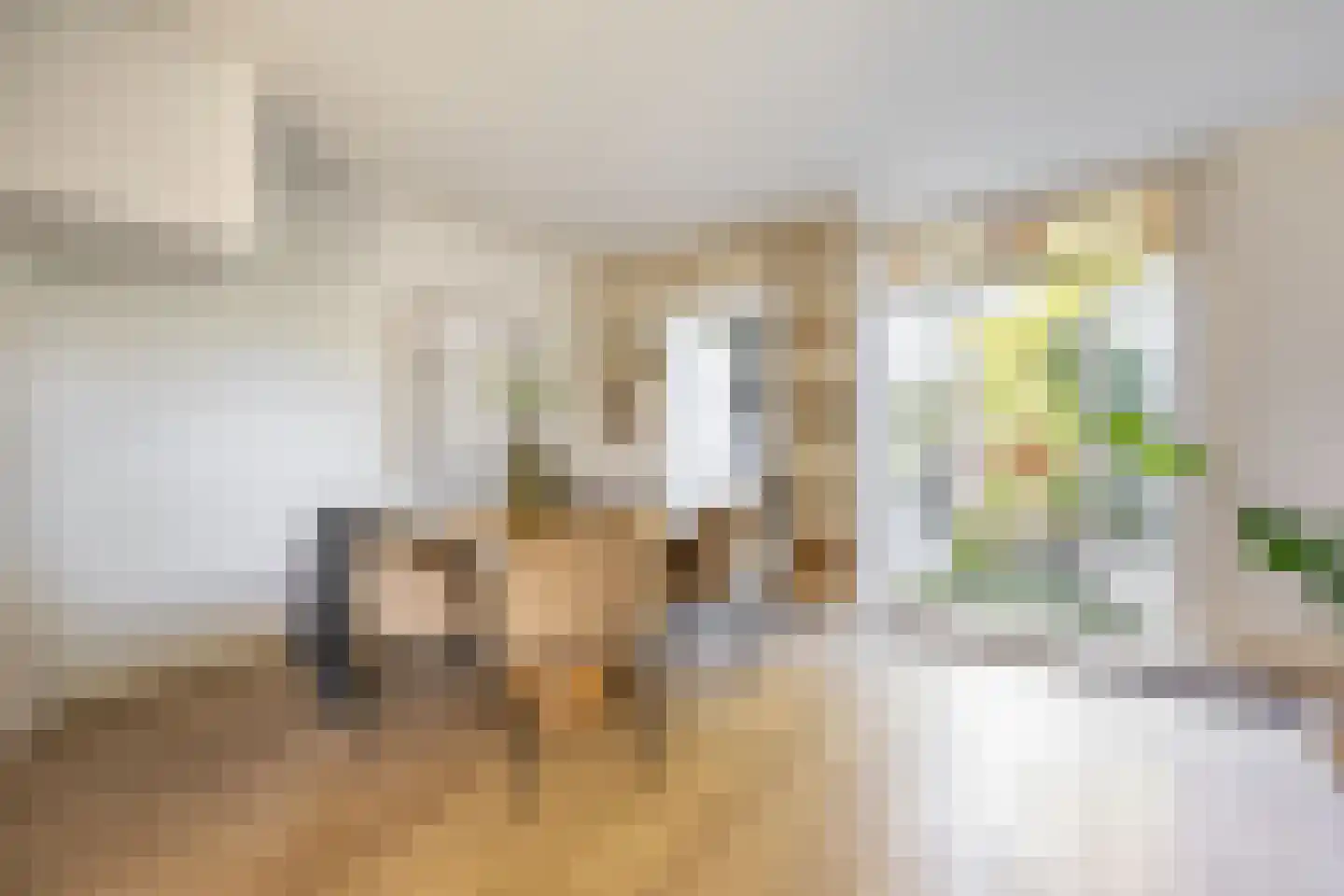 Rijnlaan 92 Heemstede thumbnail 7