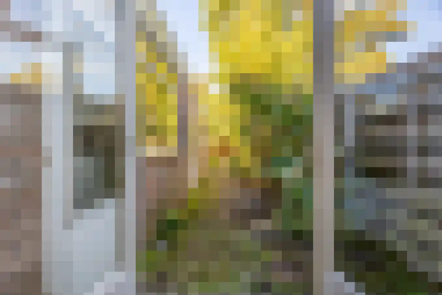 Rijnlaan 92 Heemstede thumbnail 8