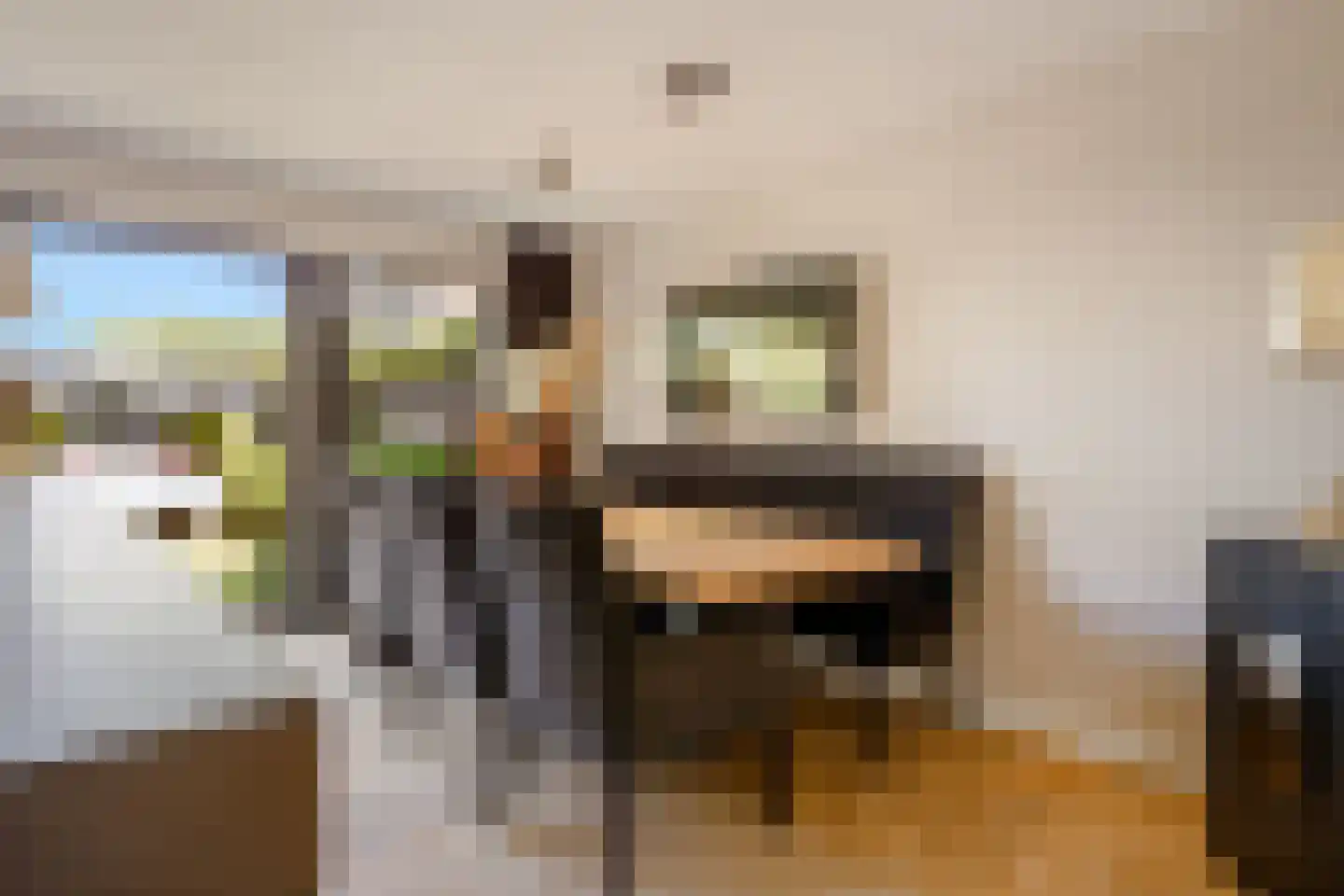 Rijnland 11 Huizen thumbnail 11