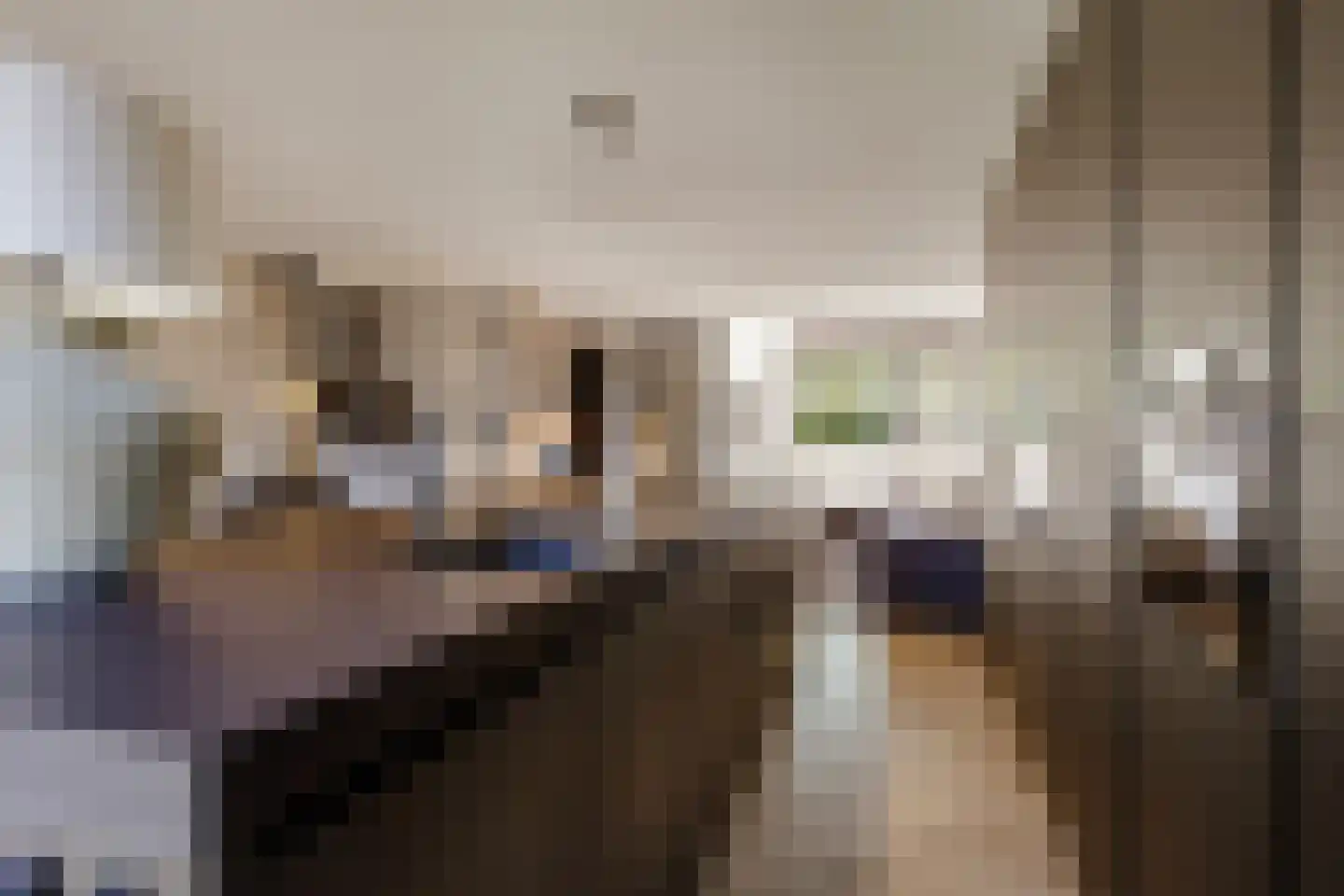 Rijnland 11 Huizen thumbnail 13