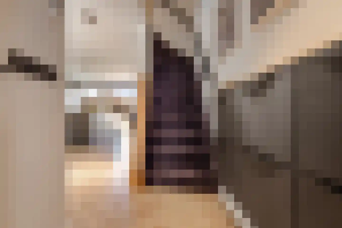 Rijnland 11 Huizen thumbnail 14