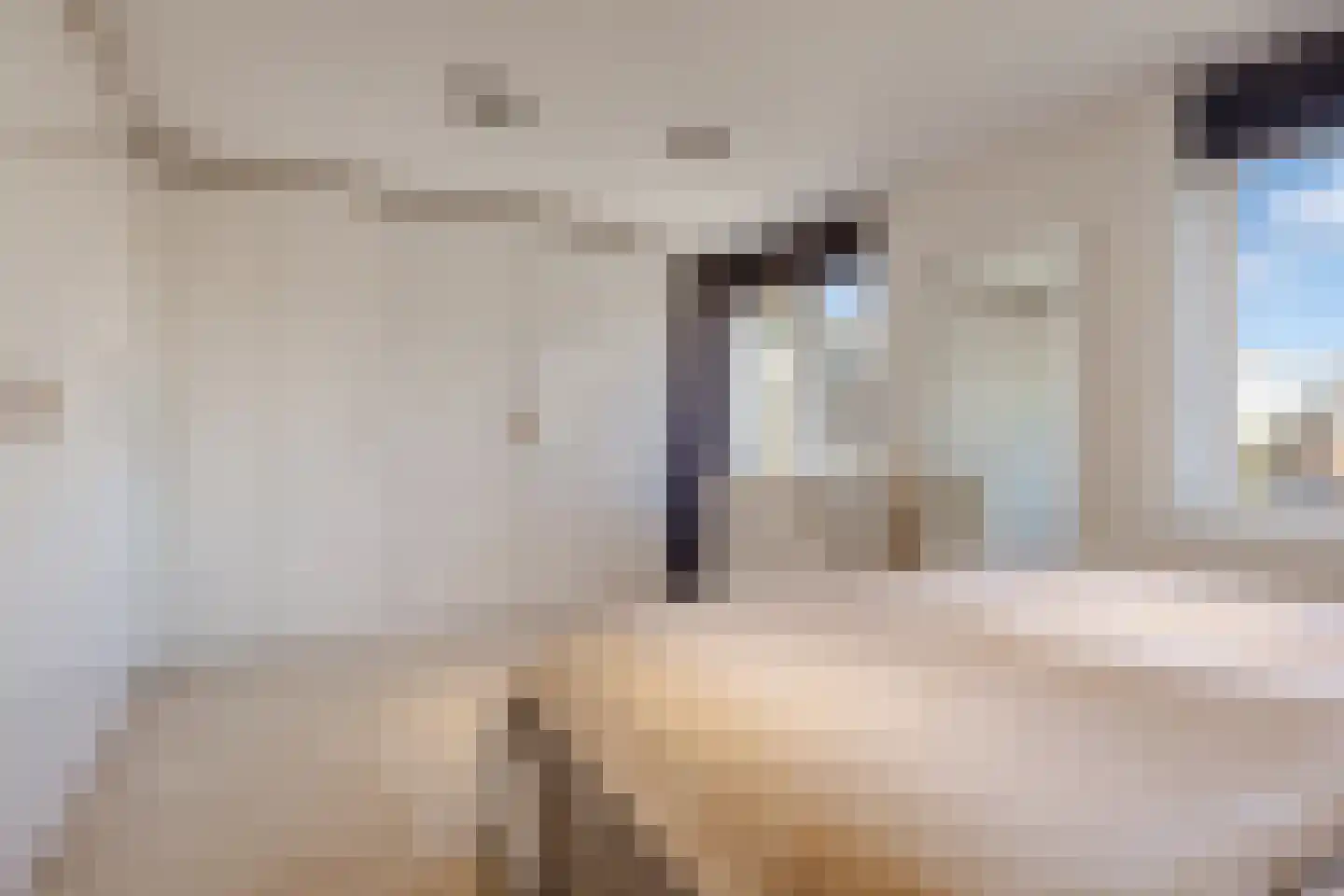 Rijnland 11 Huizen thumbnail 16
