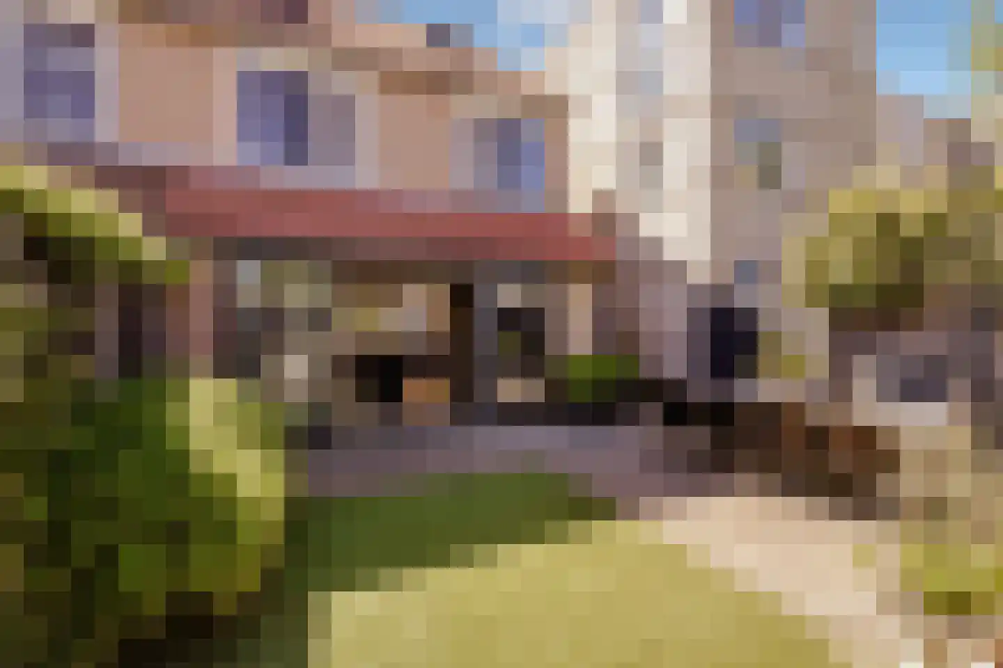 Rijnland 11 Huizen thumbnail 26