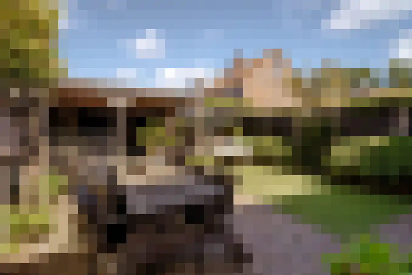 Rijnland 11 Huizen thumbnail 28