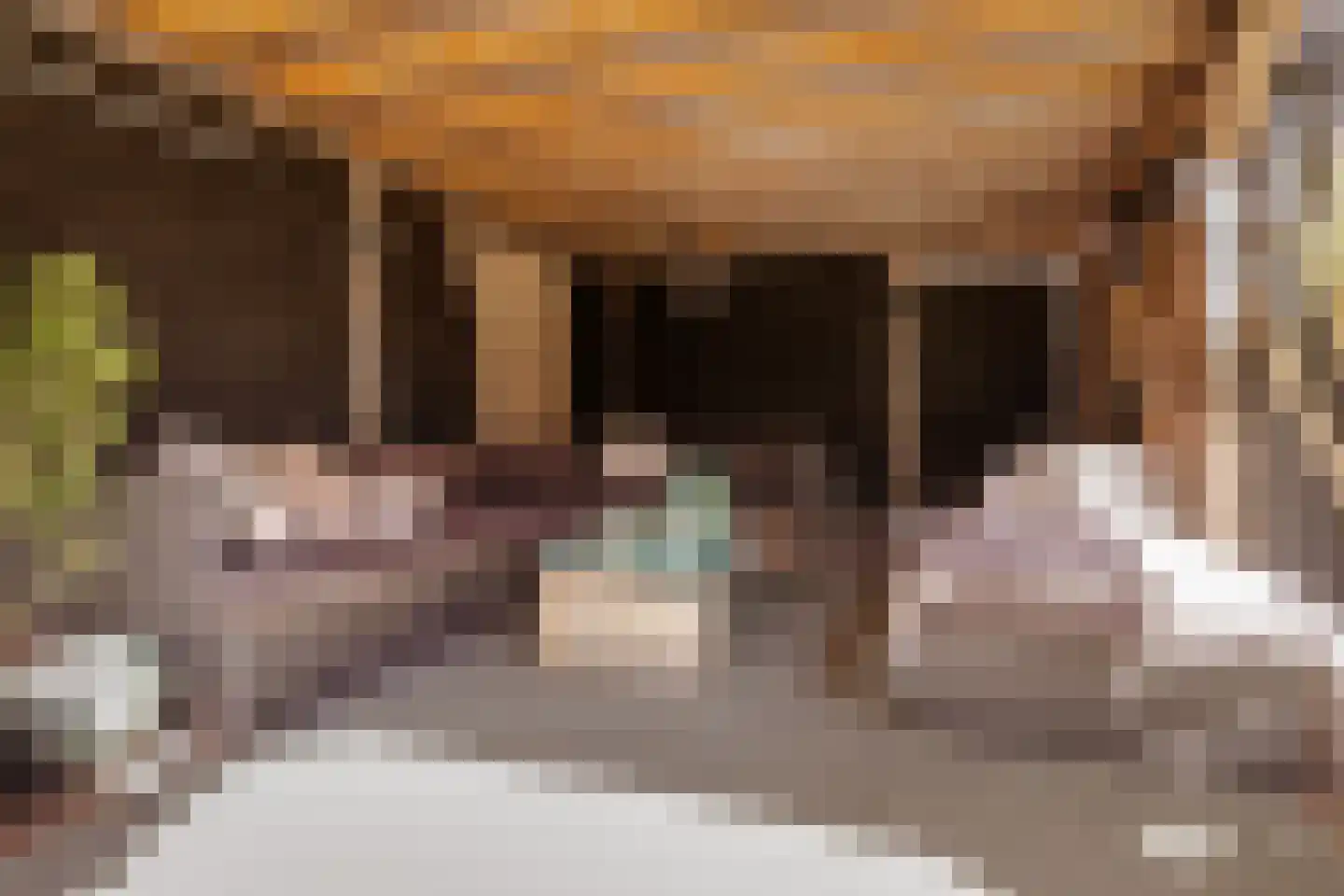 Rijnland 11 Huizen thumbnail 29