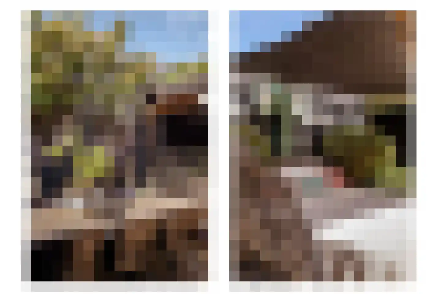 Rijnland 11 Huizen thumbnail 33