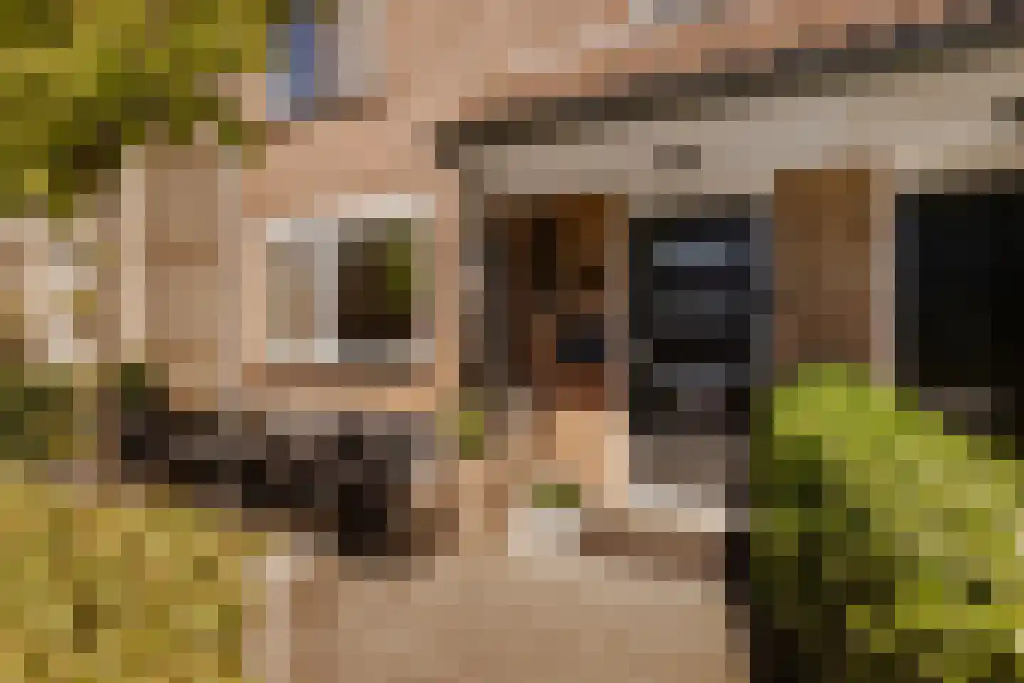 Rijnland 11 Huizen thumbnail 36