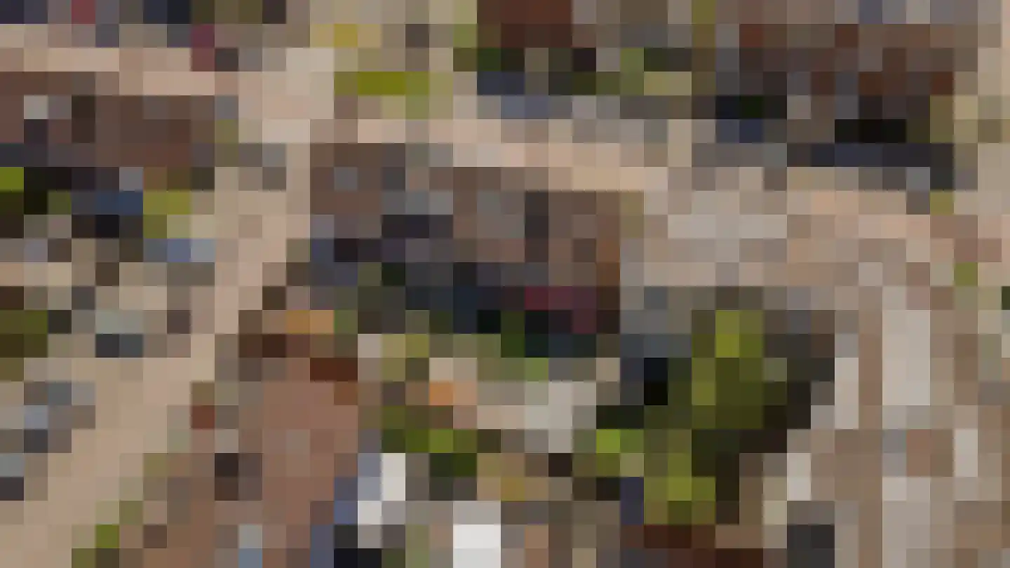 Rijnland 11 Huizen thumbnail 37