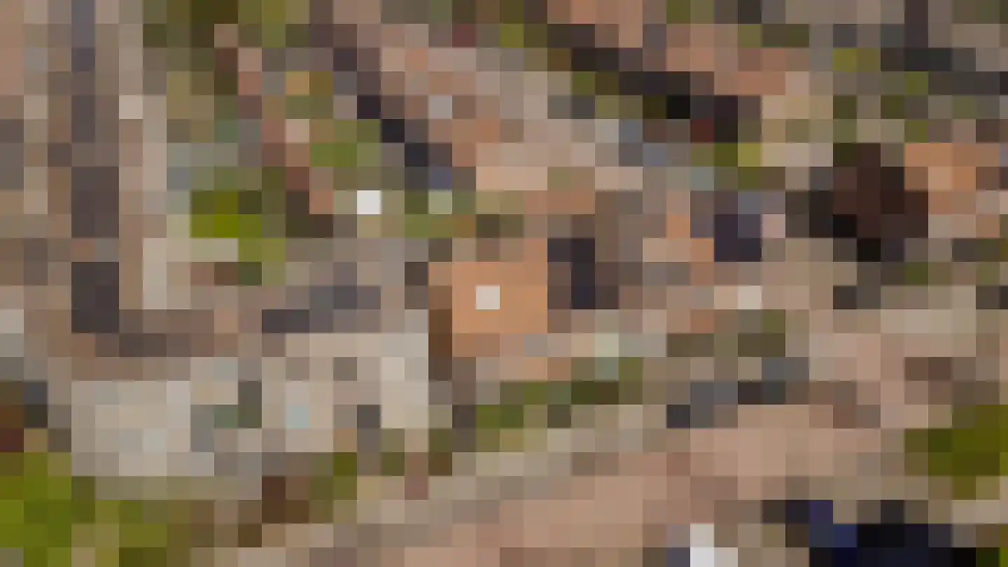 Rijnland 11 Huizen thumbnail 38