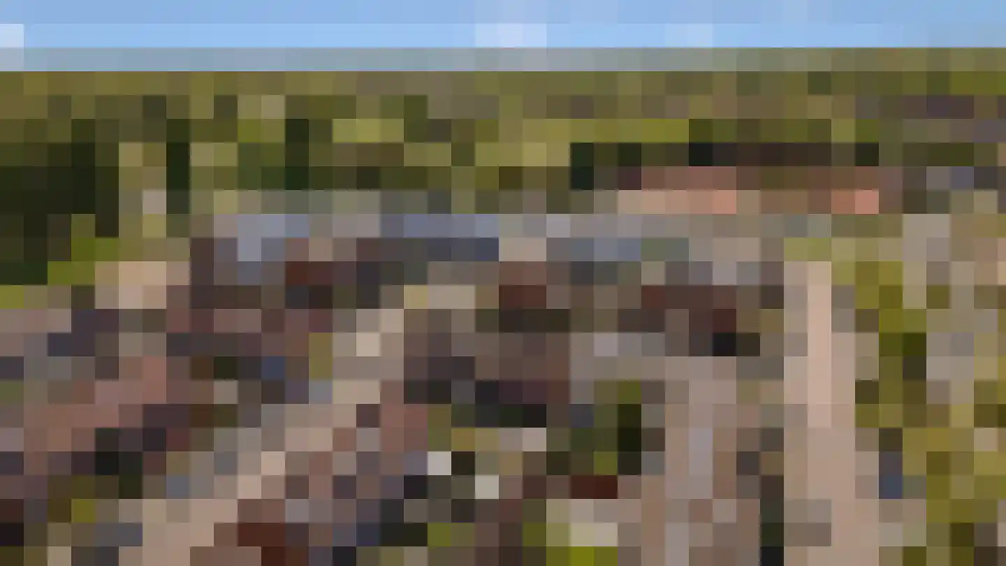 Rijnland 11 Huizen thumbnail 39