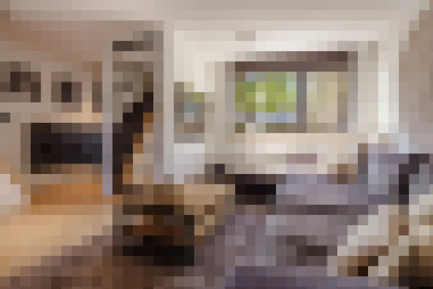 Rijnland 11 Huizen thumbnail 4