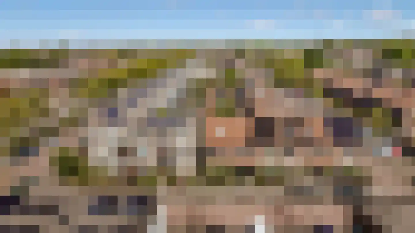 Rijnland 11 Huizen thumbnail 40