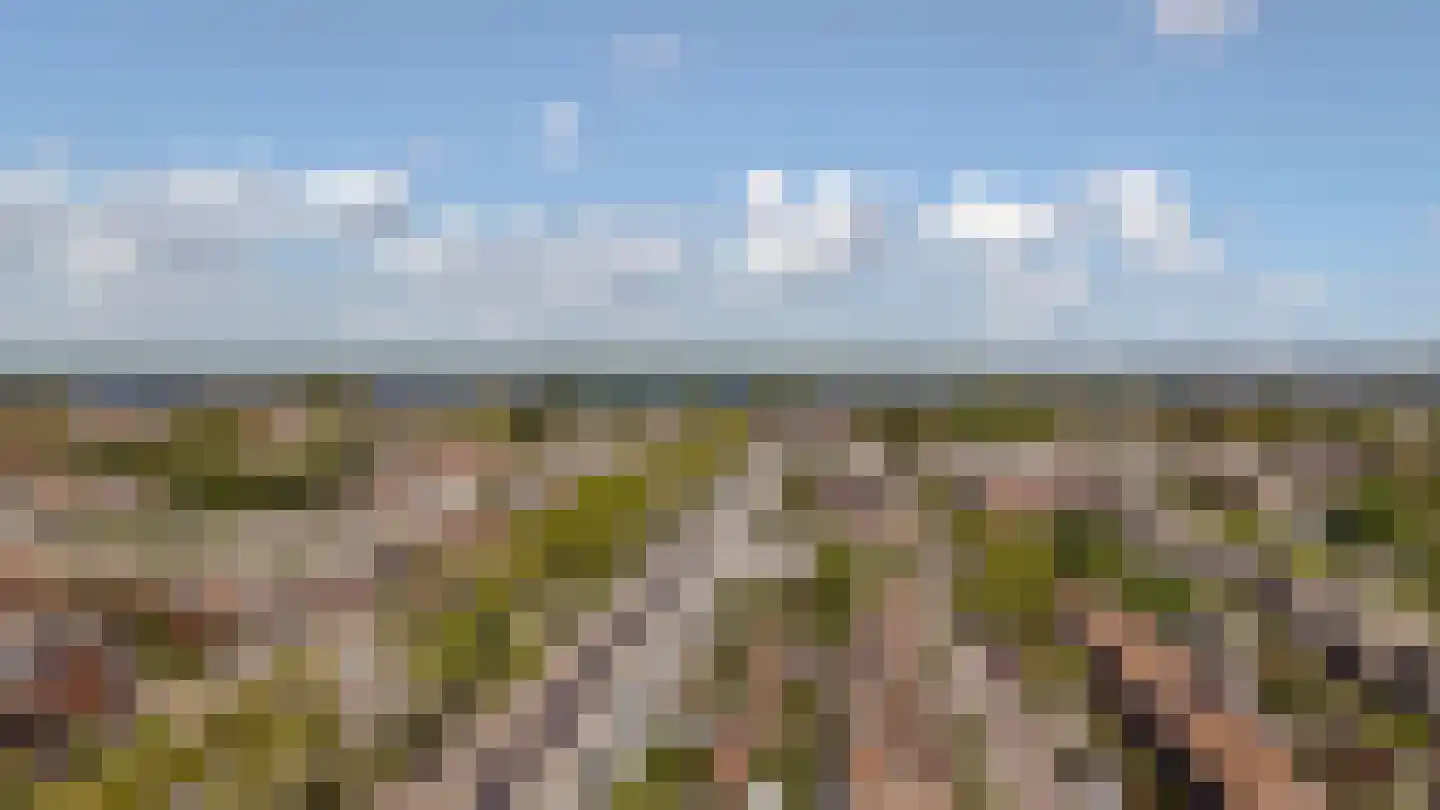 Rijnland 11 Huizen thumbnail 41