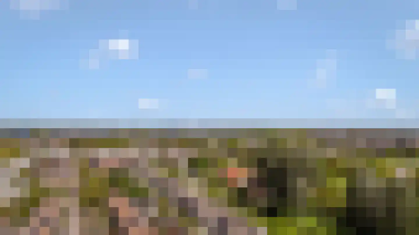 Rijnland 11 Huizen thumbnail 42